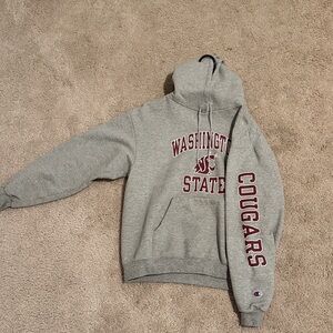 Champion Gray Washington State Cougars Hoodie